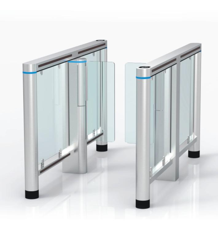  IN12 Swing Speed gate